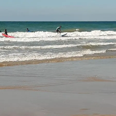 דירה Appt 40m2 3*** 10mn Plages *