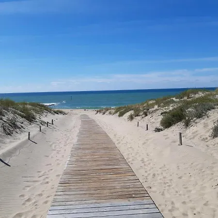 Apartment Appt 40m2 3*** 10mn Plages *