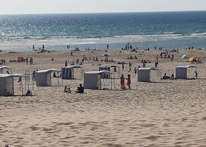 Appt 40m2 3*** 10mn Plages Apartment