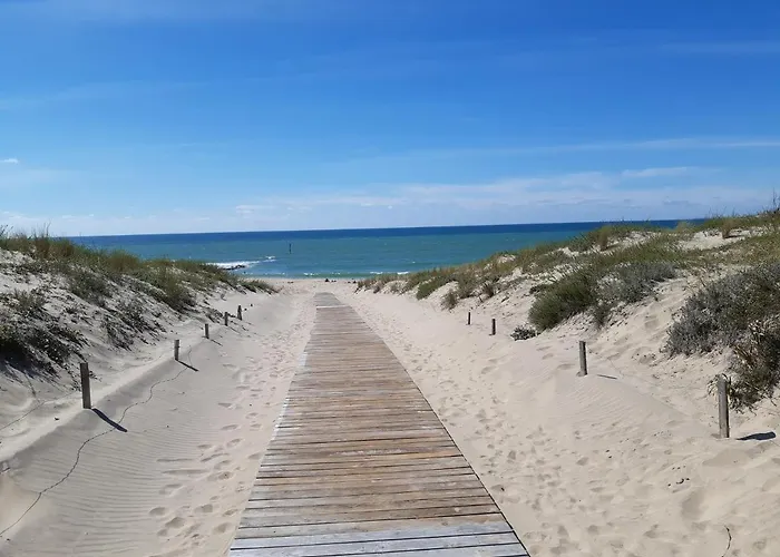Apartment Appt 40m2 3*** 10mn Plages *
